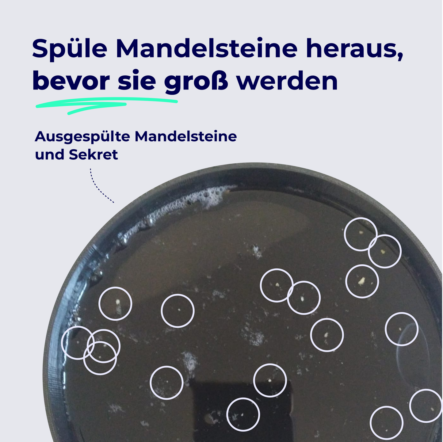 2in1 Mandelstein Schröpfglas & Munddusche